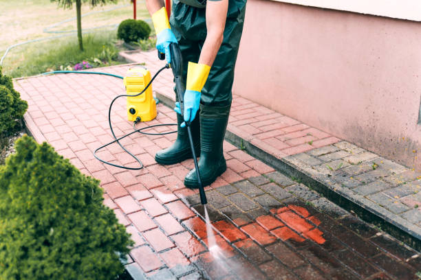 Best Animal Enclosure Cleaning  in Round Rock, TX